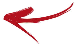 frecciasx